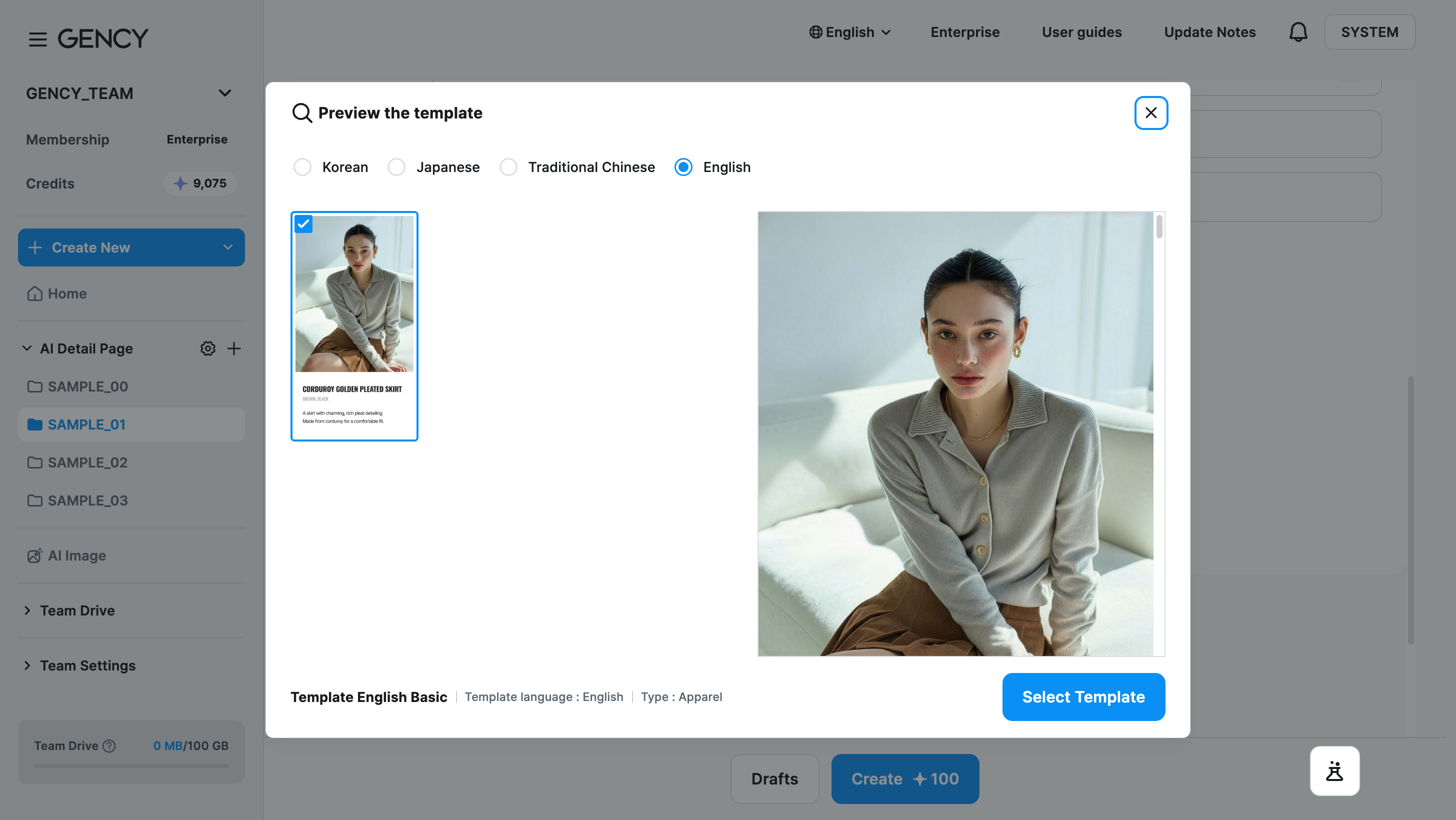 The Preview the template window