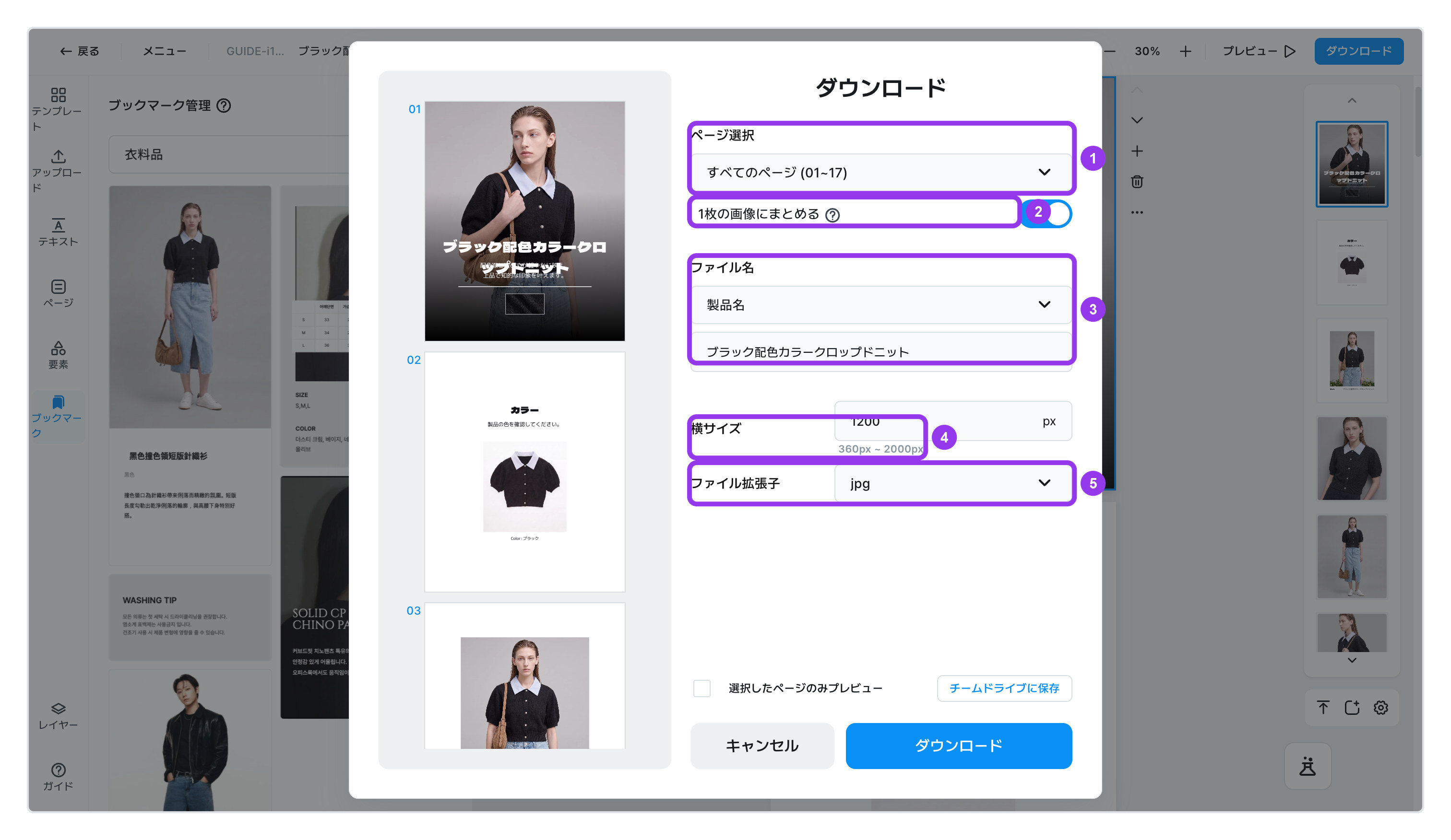 ダウンロード画面で選ぶ5つの項目