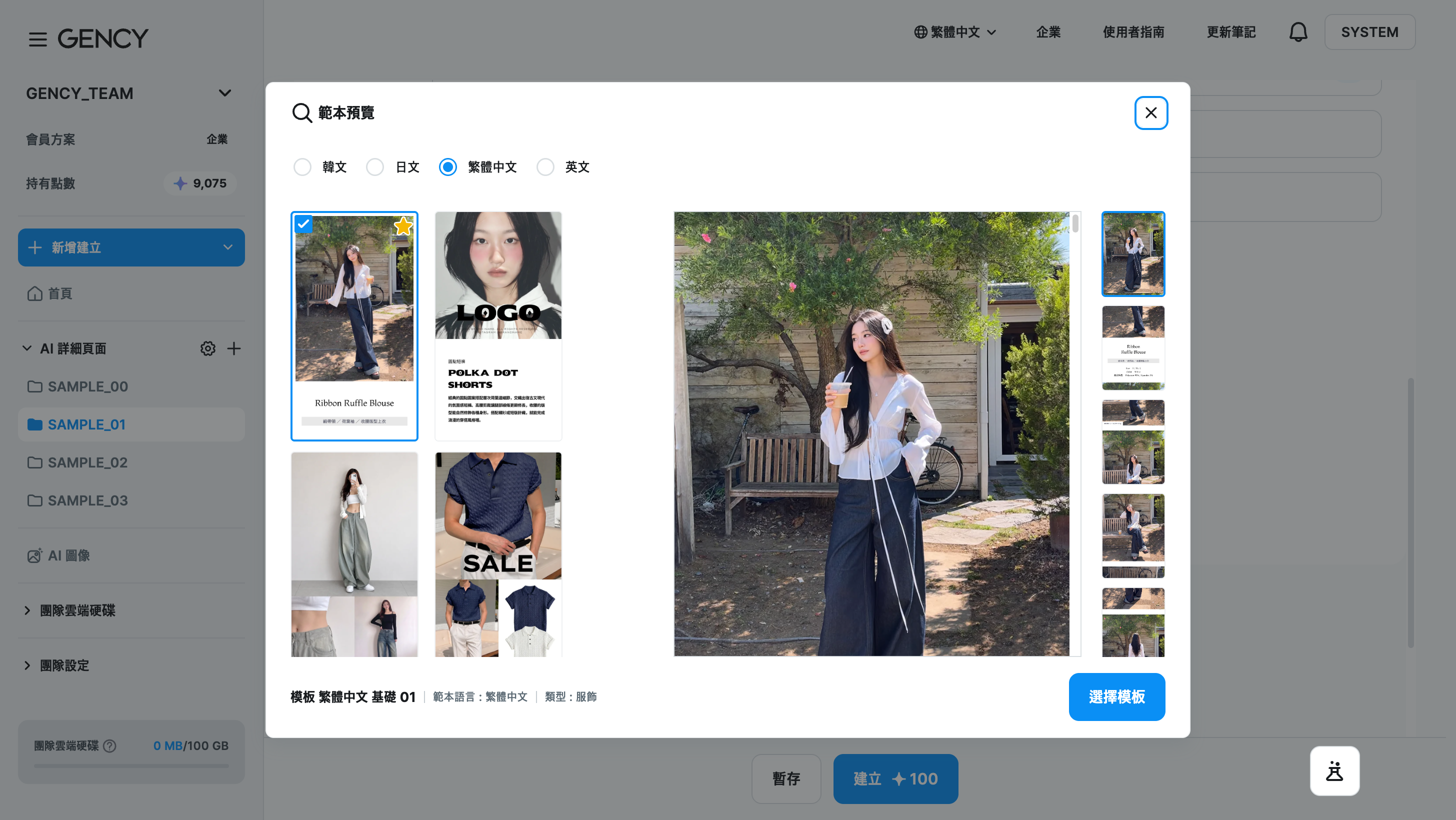 範本預覽視窗