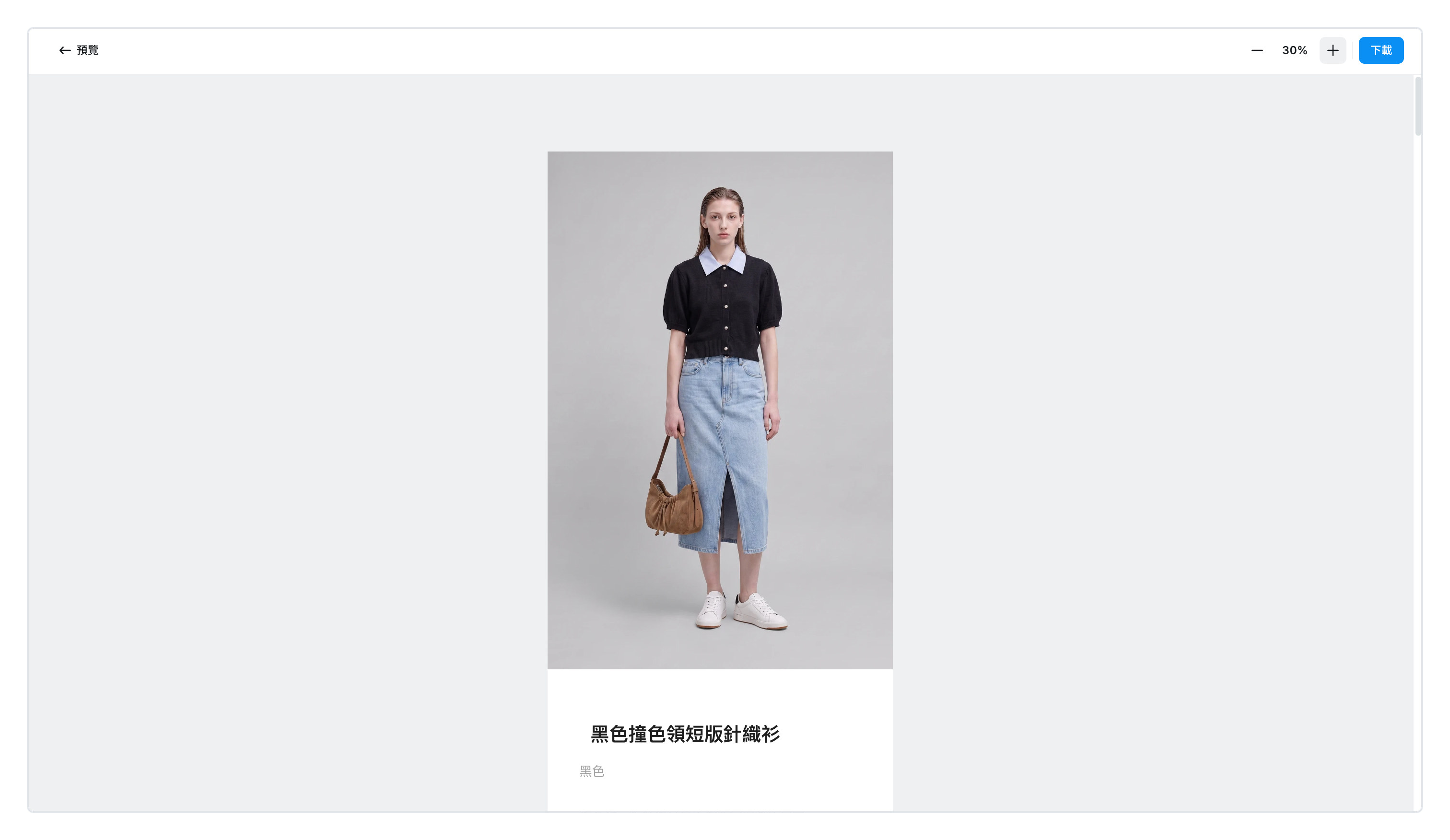 預覽畫面 — 放大縮小與直接下載